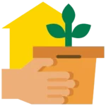 Green Moves: A Practical Checklist for Moving with Indoor Plants 2 Green Moves: A Practical Checklist for Moving with Indoor Plants